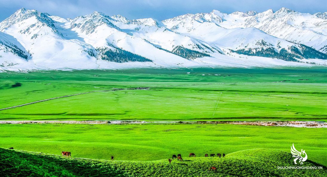 công ty chuyên tour du lịch Tân Cương 1